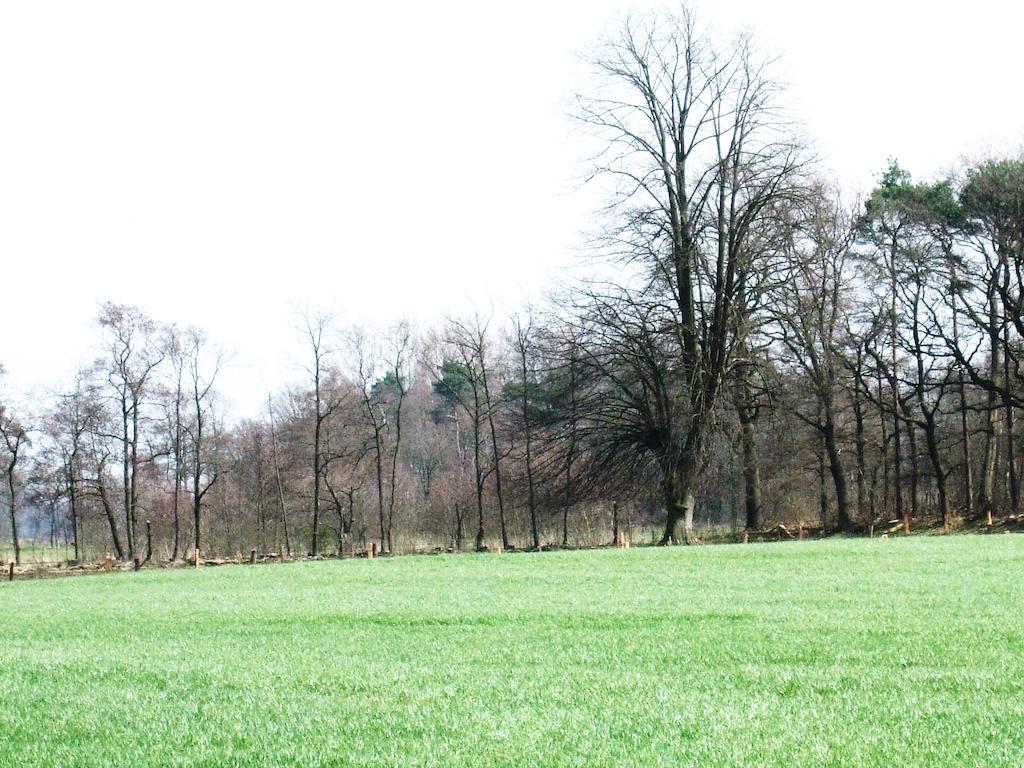 Landgoed De Lavei Bed & Breakfast Weleveld Exterior foto
