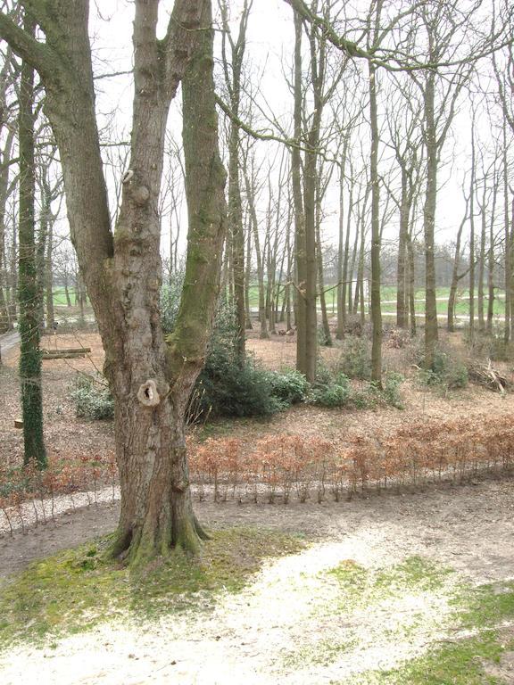 Landgoed De Lavei Bed & Breakfast Weleveld Exterior foto
