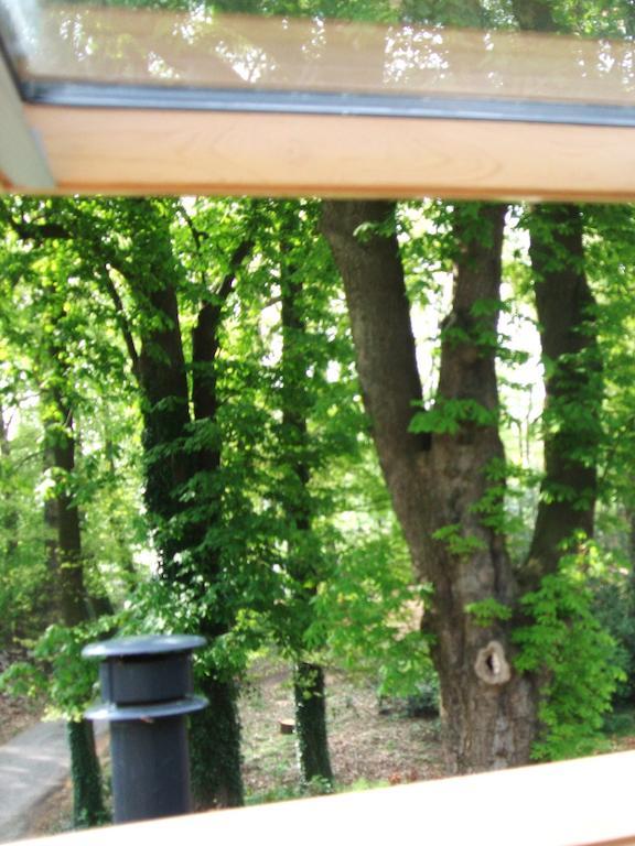 Landgoed De Lavei Bed & Breakfast Weleveld Cameră foto